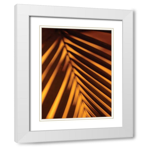 Leaf Shadow I White Modern Wood Framed Art Print with Double Matting by Berzel, Erin