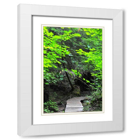 Afternoon Hike II White Modern Wood Framed Art Print with Double Matting by Berzel, Erin