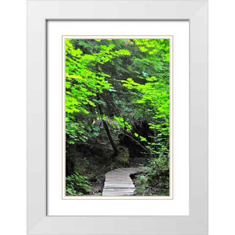 Afternoon Hike II White Modern Wood Framed Art Print with Double Matting by Berzel, Erin
