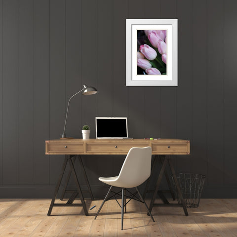 Soft Pink Tulips I White Modern Wood Framed Art Print with Double Matting by Berzel, Erin