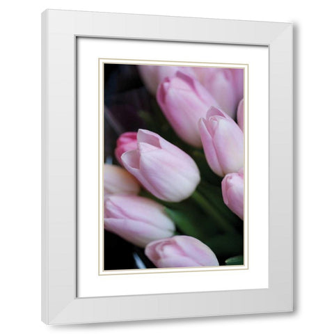 Soft Pink Tulips I White Modern Wood Framed Art Print with Double Matting by Berzel, Erin