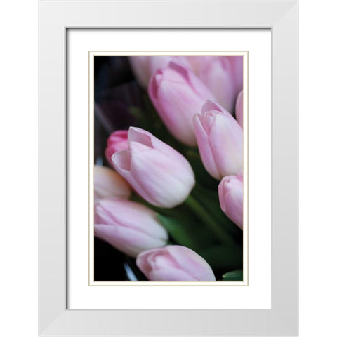 Soft Pink Tulips I White Modern Wood Framed Art Print with Double Matting by Berzel, Erin