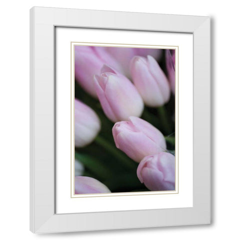 Soft Pink Tulips II White Modern Wood Framed Art Print with Double Matting by Berzel, Erin
