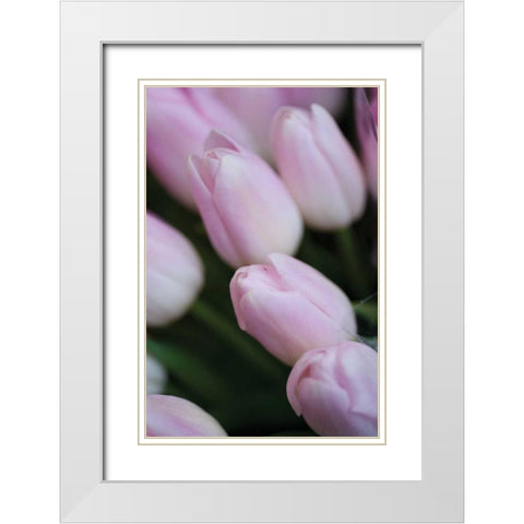 Soft Pink Tulips II White Modern Wood Framed Art Print with Double Matting by Berzel, Erin