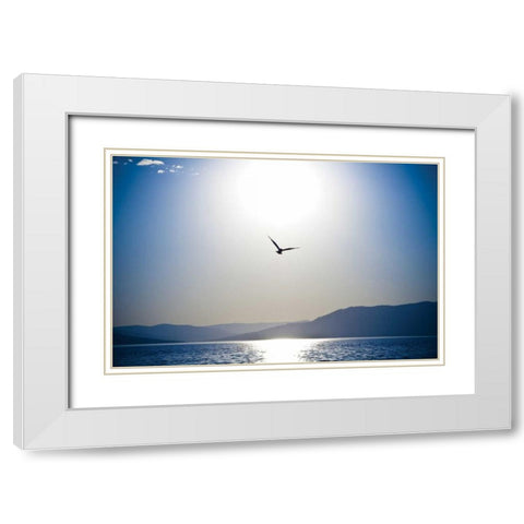 Take Flight White Modern Wood Framed Art Print with Double Matting by Berzel, Erin