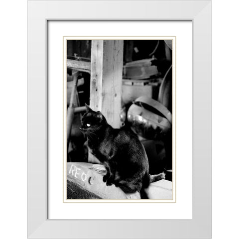 Farm Cat White Modern Wood Framed Art Print with Double Matting by Berzel, Erin