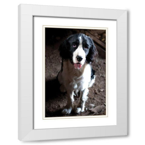 Jake The Dog White Modern Wood Framed Art Print with Double Matting by Berzel, Erin
