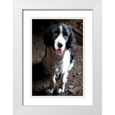 Jake The Dog White Modern Wood Framed Art Print with Double Matting by Berzel, Erin