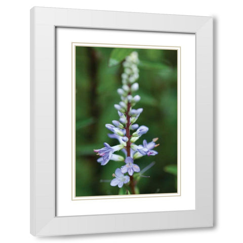 In the Garden I White Modern Wood Framed Art Print with Double Matting by Berzel, Erin