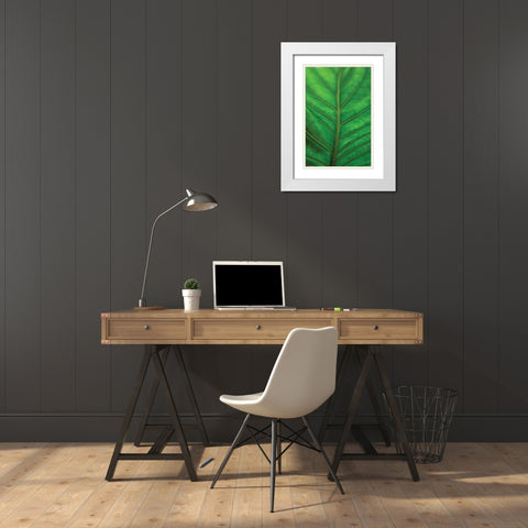 Leaf Detail V White Modern Wood Framed Art Print with Double Matting by Berzel, Erin