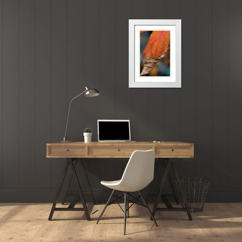 Orange Leaves II White Modern Wood Framed Art Print with Double Matting by Berzel, Erin