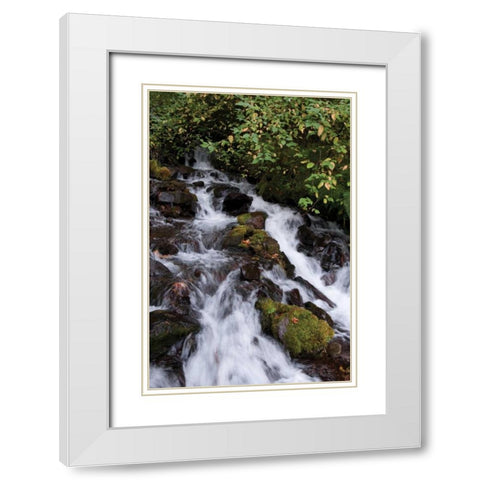 Wahkeena Falls I White Modern Wood Framed Art Print with Double Matting by Berzel, Erin
