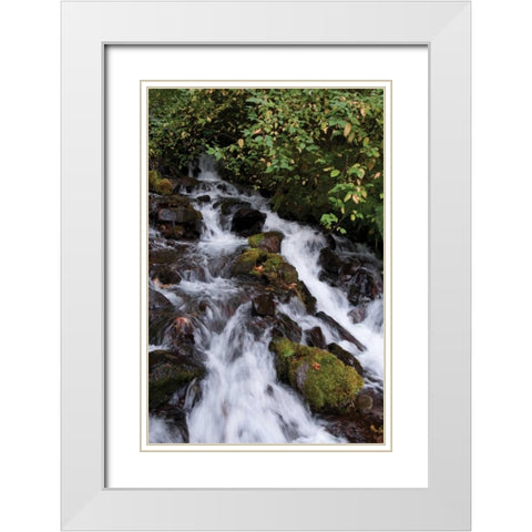 Wahkeena Falls I White Modern Wood Framed Art Print with Double Matting by Berzel, Erin