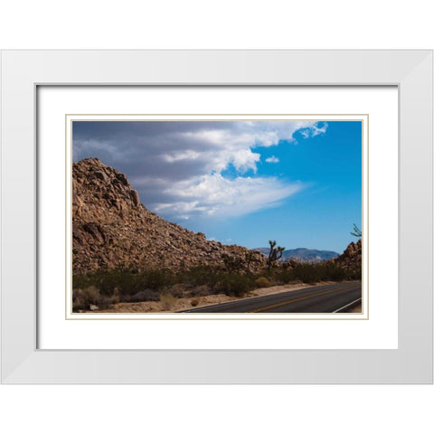 Joshua Tree National Park II White Modern Wood Framed Art Print with Double Matting by Berzel, Erin