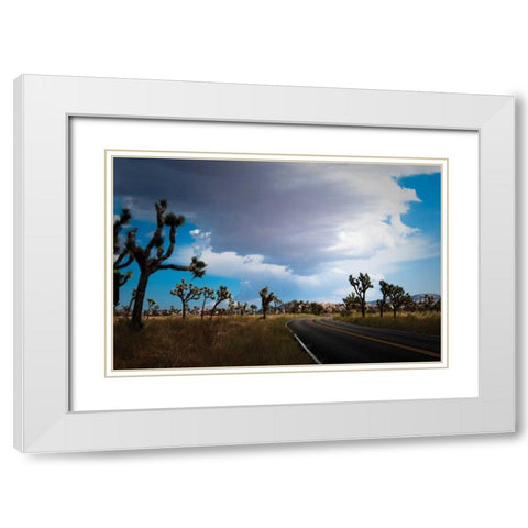 Joshua Tree National Park IV White Modern Wood Framed Art Print with Double Matting by Berzel, Erin