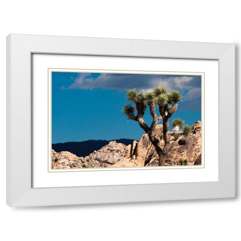 After the Storm II White Modern Wood Framed Art Print with Double Matting by Berzel, Erin