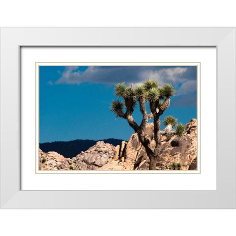 After the Storm II White Modern Wood Framed Art Print with Double Matting by Berzel, Erin