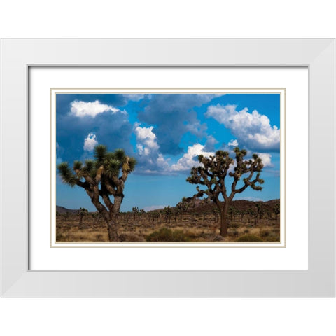 Blue Sky I White Modern Wood Framed Art Print with Double Matting by Berzel, Erin