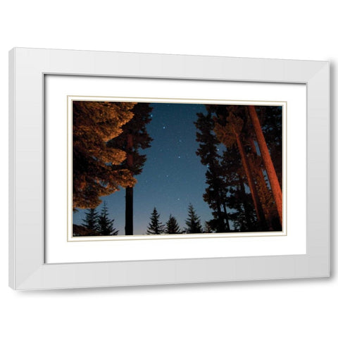 Starry Night I White Modern Wood Framed Art Print with Double Matting by Berzel, Erin