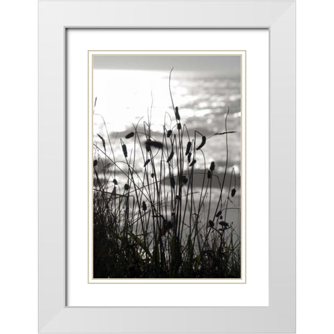 Coastal Grass I White Modern Wood Framed Art Print with Double Matting by Berzel, Erin