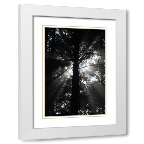 Light and Shadows I White Modern Wood Framed Art Print with Double Matting by Berzel, Erin