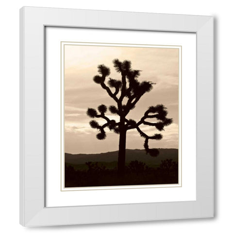 Yucca Brevifolia IV White Modern Wood Framed Art Print with Double Matting by Berzel, Erin