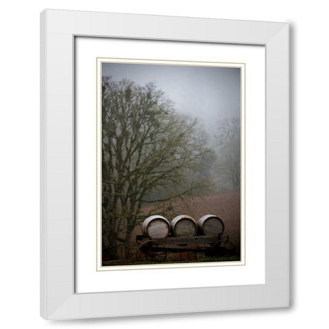 Oregon Wine Country I White Modern Wood Framed Art Print with Double Matting by Berzel, Erin