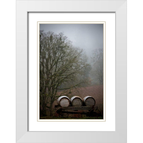 Oregon Wine Country I White Modern Wood Framed Art Print with Double Matting by Berzel, Erin