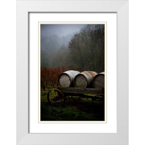 Oregon Wine Country II White Modern Wood Framed Art Print with Double Matting by Berzel, Erin