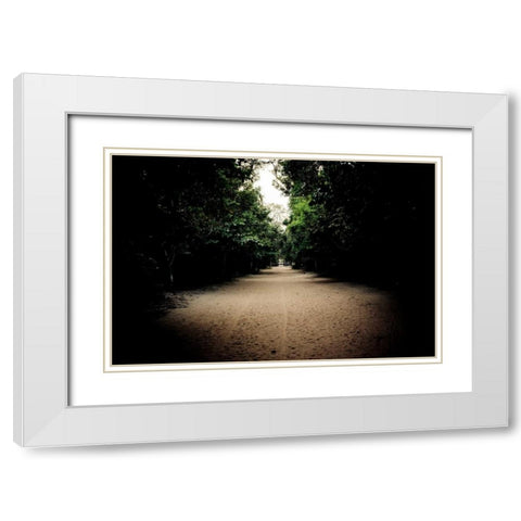 Pathway at Preah Khan White Modern Wood Framed Art Print with Double Matting by Berzel, Erin