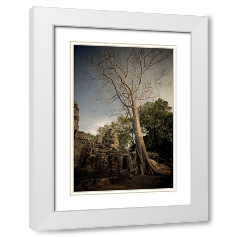 Silk Cotton Tree White Modern Wood Framed Art Print with Double Matting by Berzel, Erin