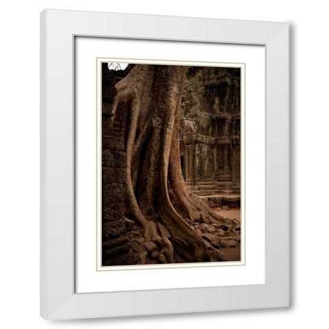 Roots and Ruins I White Modern Wood Framed Art Print with Double Matting by Berzel, Erin