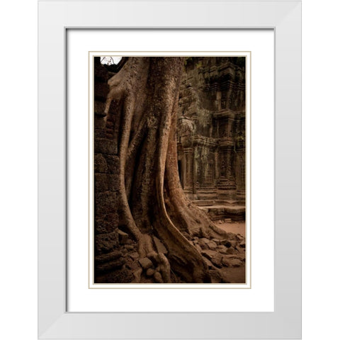 Roots and Ruins I White Modern Wood Framed Art Print with Double Matting by Berzel, Erin