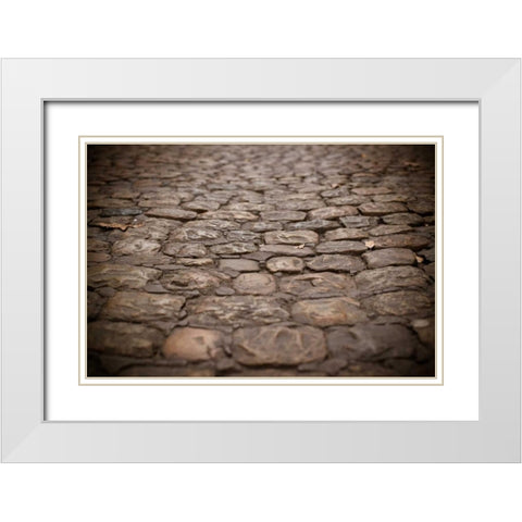 Stone Path I White Modern Wood Framed Art Print with Double Matting by Berzel, Erin
