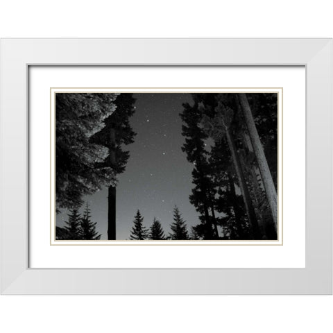 BW Starry Night I White Modern Wood Framed Art Print with Double Matting by Berzel, Erin