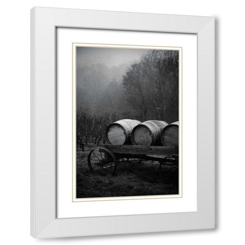 BW Oregon Wine Country II White Modern Wood Framed Art Print with Double Matting by Berzel, Erin