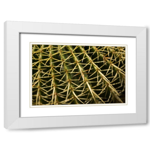 Cactus Detail II White Modern Wood Framed Art Print with Double Matting by Berzel, Erin