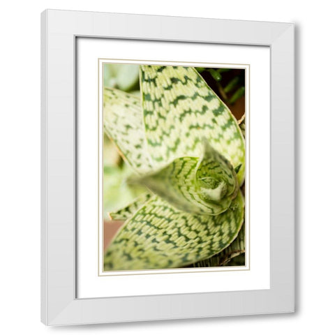 Green and White I White Modern Wood Framed Art Print with Double Matting by Berzel, Erin