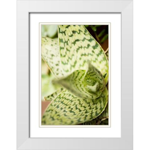 Green and White I White Modern Wood Framed Art Print with Double Matting by Berzel, Erin