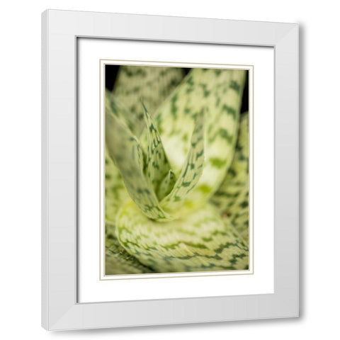 Green and White II White Modern Wood Framed Art Print with Double Matting by Berzel, Erin