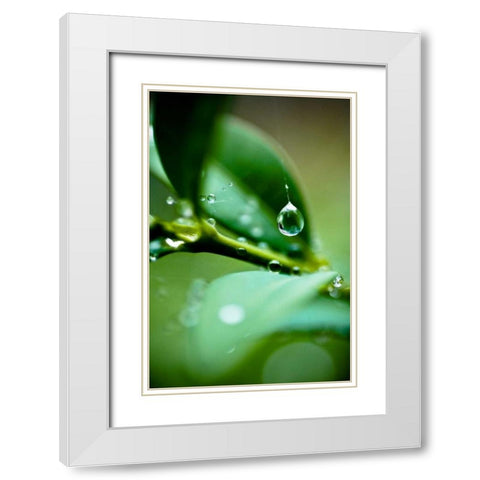 Suspended Dew I White Modern Wood Framed Art Print with Double Matting by Berzel, Erin