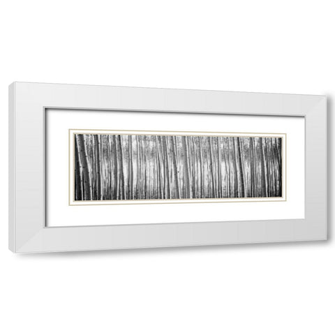 Pacific Albus BW I White Modern Wood Framed Art Print with Double Matting by Berzel, Erin