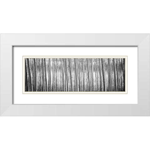 Pacific Albus BW I White Modern Wood Framed Art Print with Double Matting by Berzel, Erin