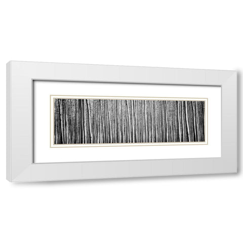 Pacific Albus BW II White Modern Wood Framed Art Print with Double Matting by Berzel, Erin