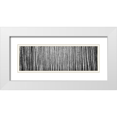 Pacific Albus BW II White Modern Wood Framed Art Print with Double Matting by Berzel, Erin