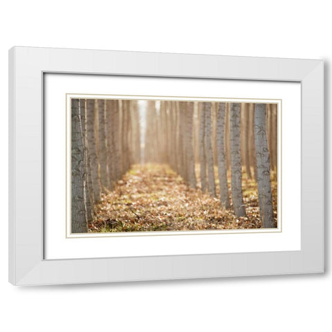 Pacific Albus I White Modern Wood Framed Art Print with Double Matting by Berzel, Erin