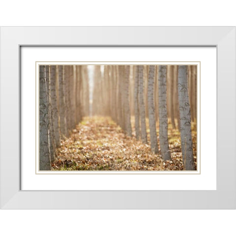 Pacific Albus I White Modern Wood Framed Art Print with Double Matting by Berzel, Erin