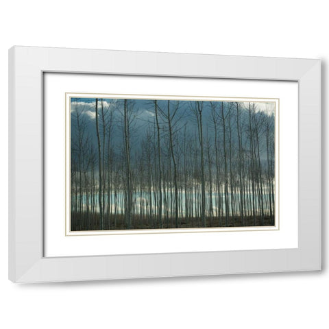 Pacific Albus and Clouds I White Modern Wood Framed Art Print with Double Matting by Berzel, Erin