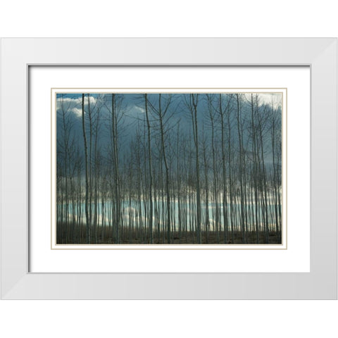Pacific Albus and Clouds I White Modern Wood Framed Art Print with Double Matting by Berzel, Erin