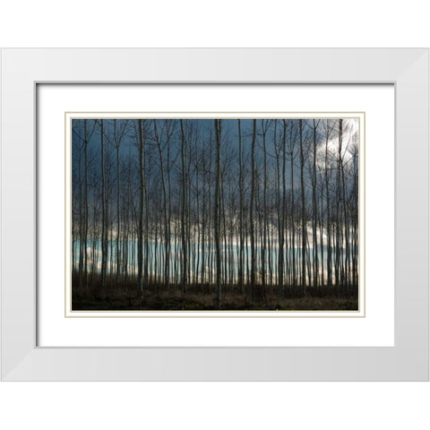 Pacific Albus and Clouds II White Modern Wood Framed Art Print with Double Matting by Berzel, Erin